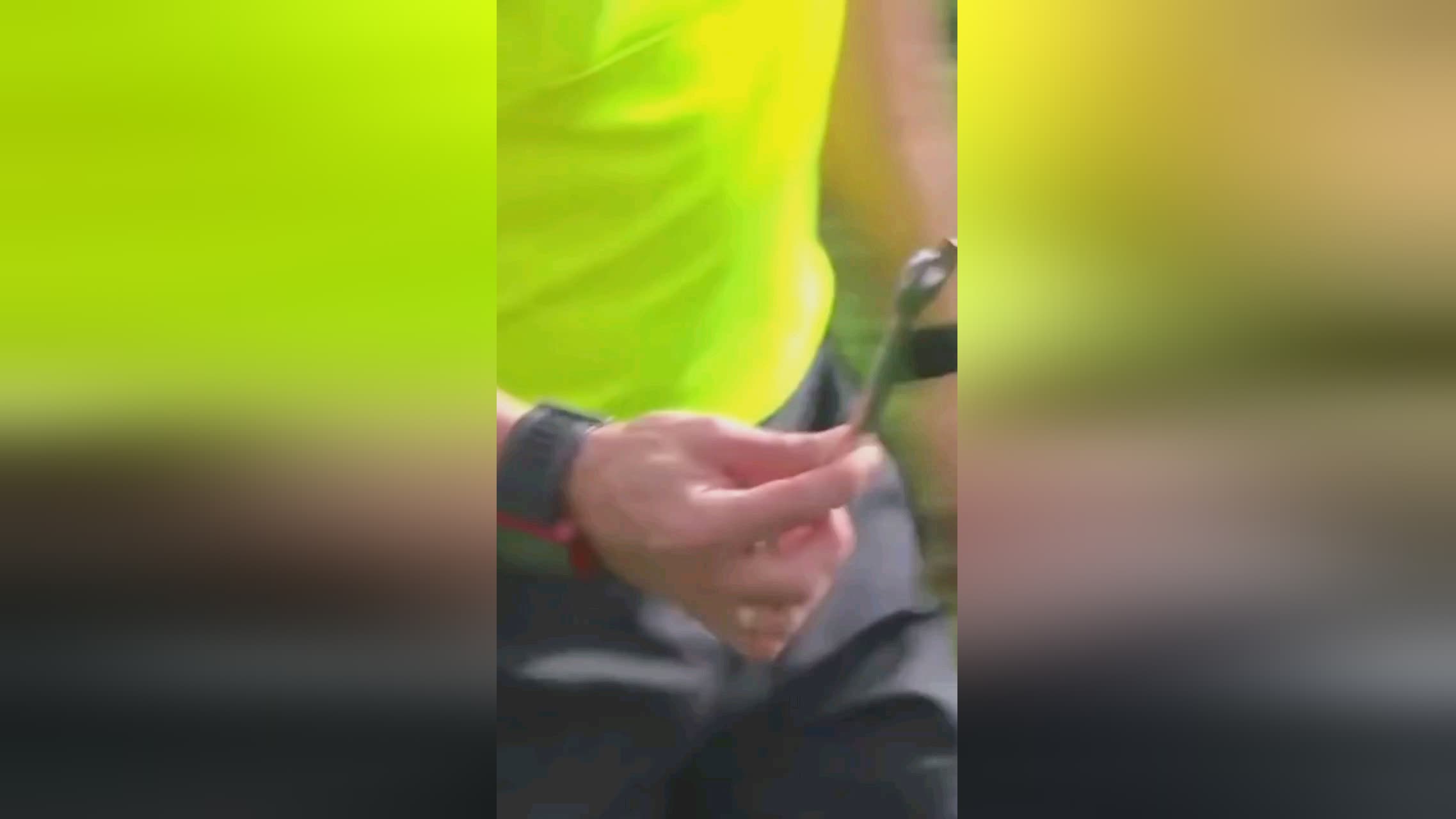来自埃