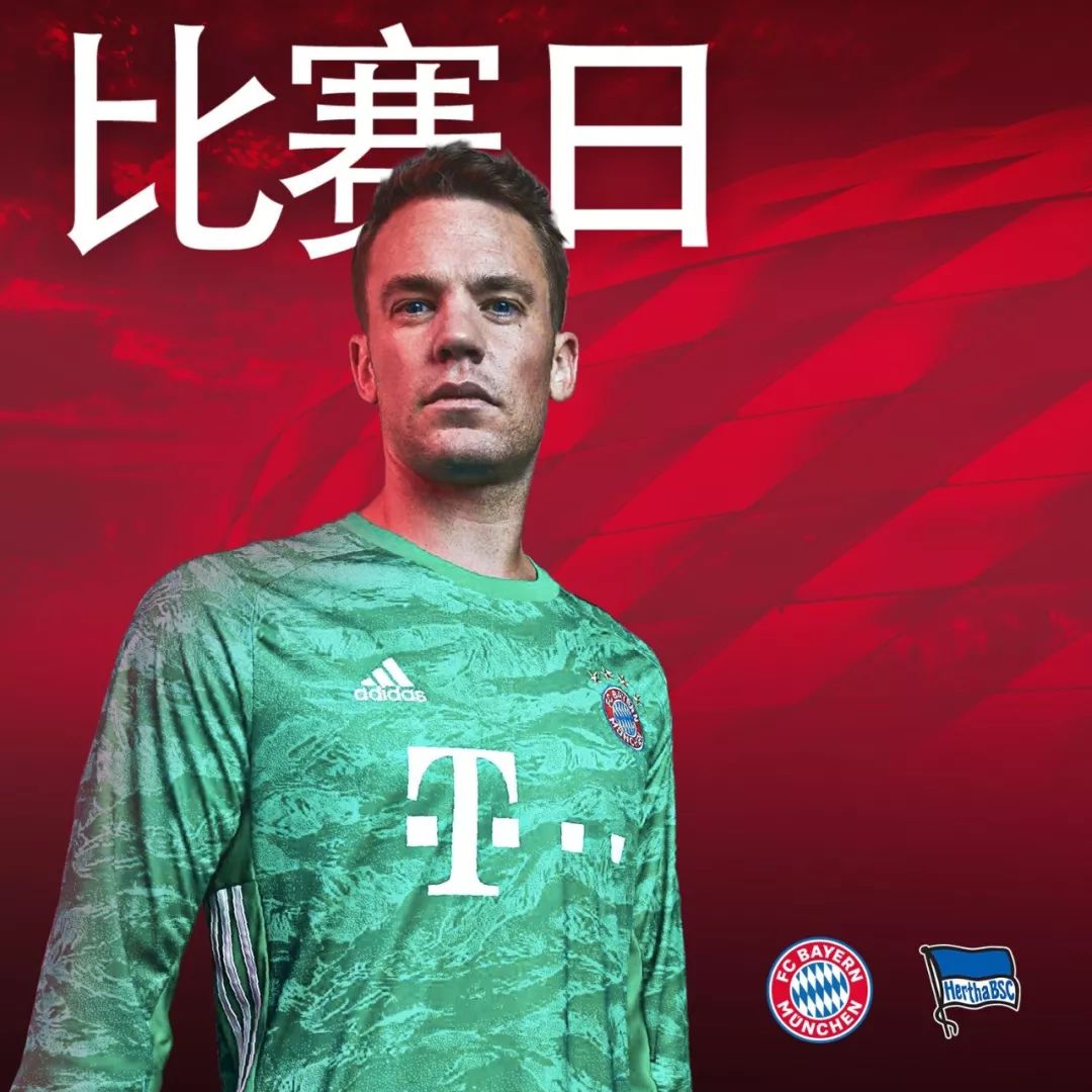 公牛近